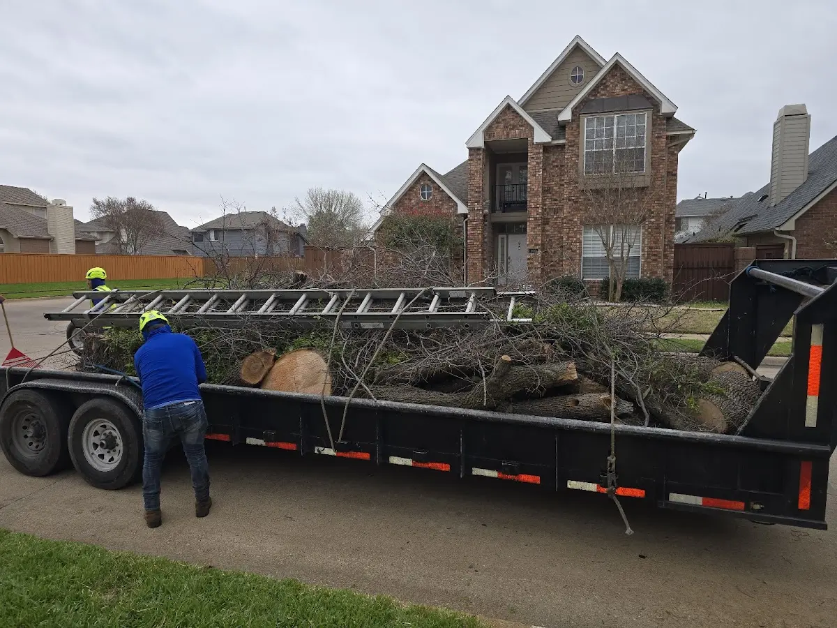 Expert Lot Clearing with proper safety equipment in Blythedale